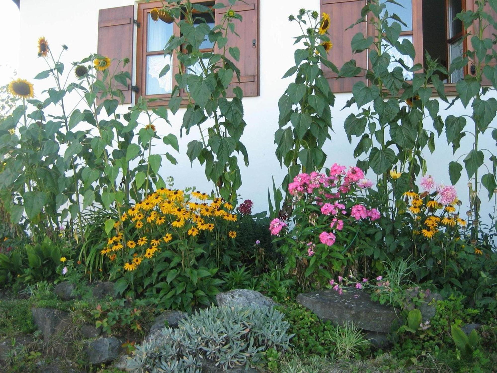 Apartment In The Allg U With View Of The Bavarian Alps Bernbeuren المظهر الخارجي الصورة